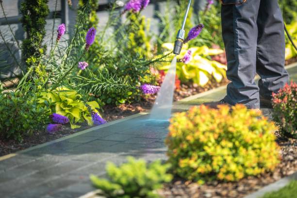 Best Gutter Cleaning  in Listoga, CA